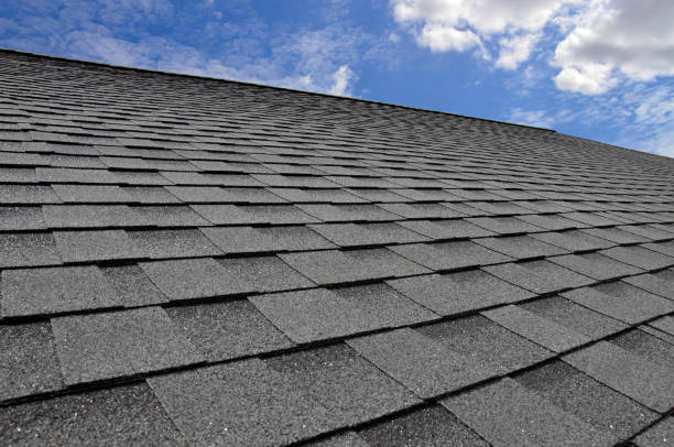 Best Asphalt Shingle Roofing  in Trappe, PA